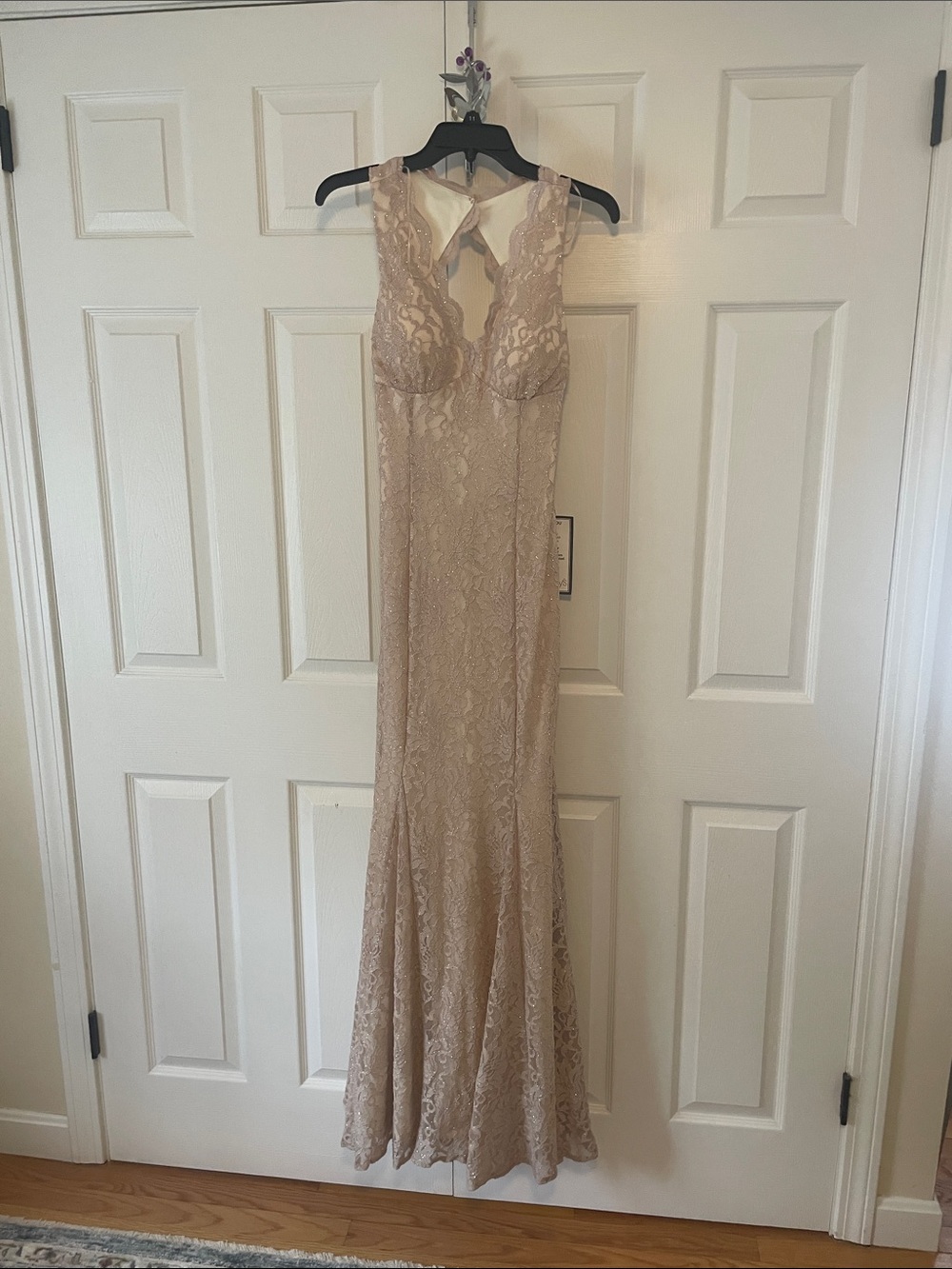 Macy's Blush Lace V-Neck Evening Dress
